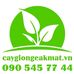 Tam Tieu - Facebook