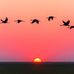 Tamal Roy - Facebook