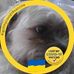 Tamala Laseke Ryan - Facebook
