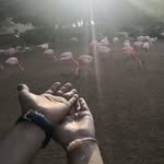 Tamanna Haque - @tamanna1534 - Instagram