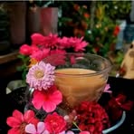 Tamanna Haque - Facebook