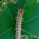 Tamanna Hoque Koli - @fariha.ruhi.503 - Instagram