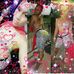 Tamar Brown - Facebook