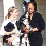 Tamar Geller The Loved Dog - @theloveddog - Instagram