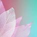 Tamar Jackson - Facebook