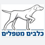 Tamar Morad - Facebook