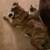 Tamara Morgan935 - @tamaramorgan935 - TikTok