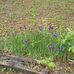 Tammy Abernathy - Facebook