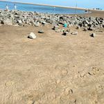 Tamara S. Ackermann - @tamaraackermann - Instagram