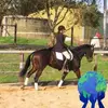 tamarabadcock - @tamarabadcock - TikTok