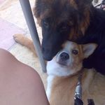 Tamara Aragon Cid - @tamaraaragoncid - Instagram