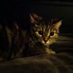Tamara Baird - @tam_b3 - Instagram