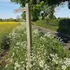 tamarabaird74 - @tamarabaird74 - TikTok