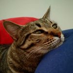Tamara! - @tamarabalestri - Instagram