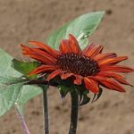 Tamara Barker - @lersseropenduy289 - Instagram