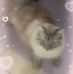 Tammy Bartholomew - Facebook