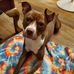 Tamara Henneman Baughman - Facebook