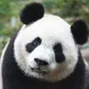 Tamarabaumann22 - @tamarabaumann22 - TikTok