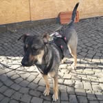 Tamara Bayer - @bayer361 - Instagram