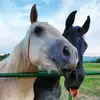 tamarabeach905 - @tamarabeach905 - TikTok