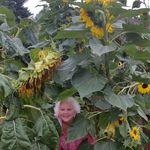 Tamara @ Beam of Loving Guidance - @tbeam21 - Instagram