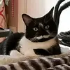 Tamara Beamon - @tamarabeamon - TikTok
