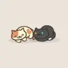 tamarabean - @tamarabean2 - TikTok