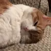 Tamara Beardsley327 - @tambee423 - TikTok