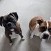 Tammy Beardsley - Facebook