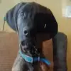 Tamara Beeman aka Zamba - @zamba1770 - TikTok
