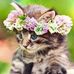 Tammy Beeman - Facebook