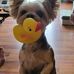 Tammy Burnette Begley - Facebook