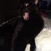 Tammy Behan - Facebook