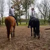 Tamara Behling - @tamarabehling0 - TikTok