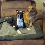 Tammy Behling - Facebook