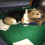 Behringer Tamara - @behringertamara - Instagram