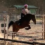 Tamara Behr - @secret.magic.unicorn - Instagram