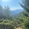 tamarabehrns - @tam.n.cheese - TikTok