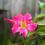 Tamara Behrens - @tambehr - Instagram