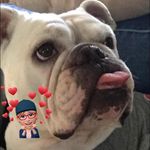 Tamara Belcher-McRobie - @megab1962 - Instagram