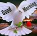 Tamara Ben - Facebook