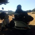 Tamara Della Famiglia Benedetti - @tamarab4663 - Instagram