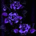 Tammy Bergman - Facebook
