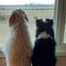 Tammy Bergman - Facebook