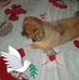 Tammy Biggers Stephens - Facebook