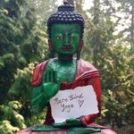 Tamara Anne • Rare Bird Yoga - @rarebird.yoga.therapy - Instagram