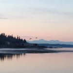 Tamara Fischer-Bird - @fischtl - Instagram