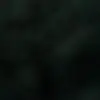 tamarabird - @tamarabird2006 - TikTok