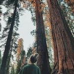 Tamara Blackmore - @btm443913 - Instagram