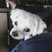 Tammy Bleeker - Facebook
